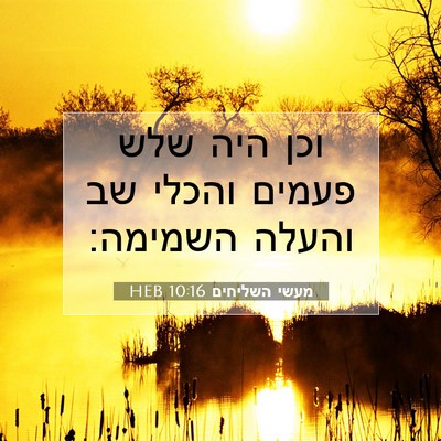 Picture 07 - מעשי השליחים 10:16 HEB - וכן היה שלש פעמים והכלי שב - Bible Verse Picture