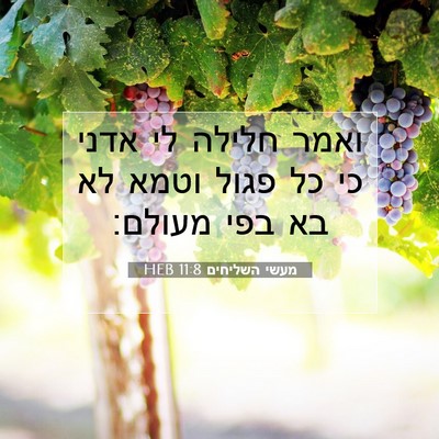 Picture 07 - מעשי השליחים 11:8 HEB - ואמר חלילה לי אדני כי כל - Bible Verse Picture