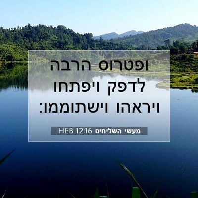 Picture 07 - מעשי השליחים 12:16 HEB - ופטרוס הרבה לדפק ויפתחו - Bible Verse Picture