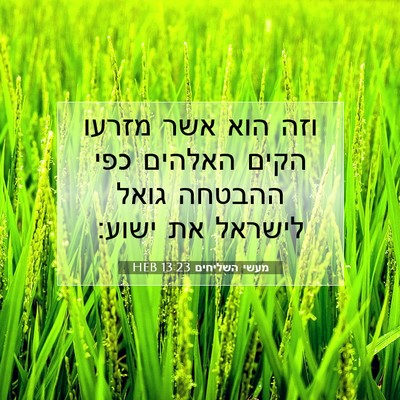 Picture 07 - מעשי השליחים 13:23 HEB - וזה הוא אשר מזרעו הקים - Bible Verse Picture