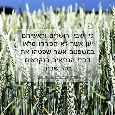Picture 07 - מעשי השליחים 13:27 HEB - כי ישבי ירושלים וראשיהם - Bible Verse Picture