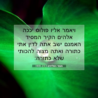Picture 07 - מעשי השליחים 23:3 HEB - ויאמר אליו פולוס יככה - Bible Verse Picture