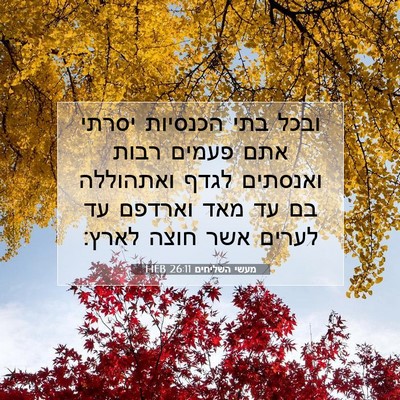 Picture 07 - מעשי השליחים 26:11 HEB - ובכל בתי הכנסיות יסרתי אתם - Bible Verse Picture