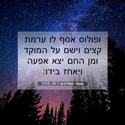 Picture 07 - מעשי השליחים 28:3 HEB - ופולוס אסף לו ערמת קצים - Bible Verse Picture