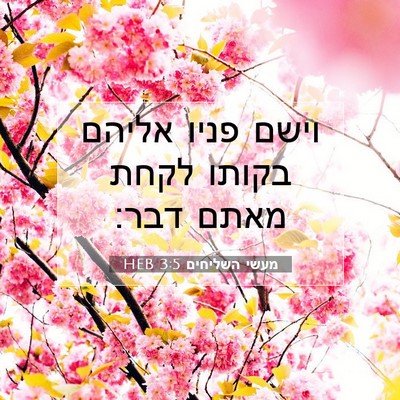 Picture 07 - מעשי השליחים 3:5 HEB - וישם פניו אליהם בקותו לקחת - Bible Verse Picture