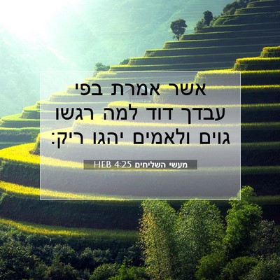 Picture 07 - מעשי השליחים 4:25 HEB - אשר אמרת בפי עבדך דוד למה - Bible Verse Picture