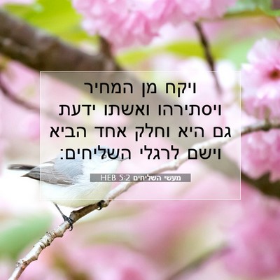 Picture 07 - מעשי השליחים 5:2 HEB - ויקח מן המחיר ויסתירהו - Bible Verse Picture