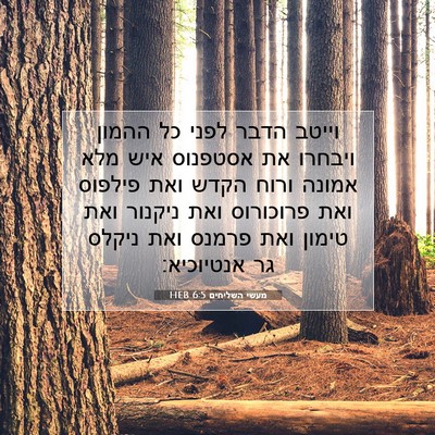 Picture 07 - מעשי השליחים 6:5 HEB - וייטב הדבר לפני כל ההמון - Bible Verse Picture