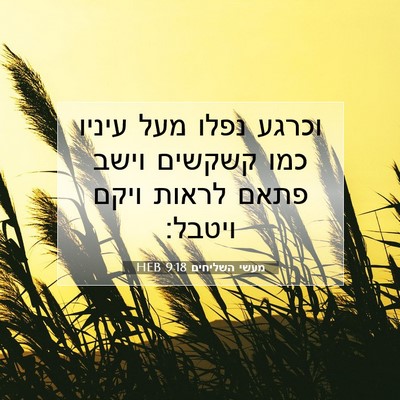 Picture 07 - מעשי השליחים 9:18 HEB - וכרגע נפלו מעל עיניו כמו - Bible Verse Picture