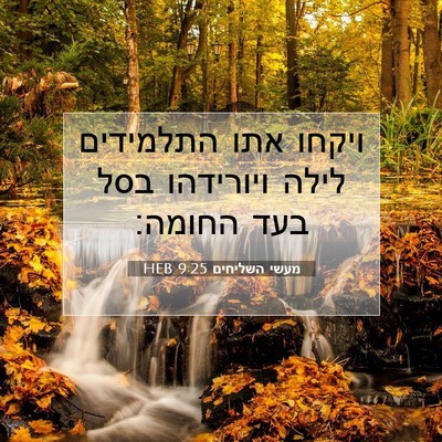 Picture 07 - מעשי השליחים 9:25 HEB - ויקחו אתו התלמידים לילה - Bible Verse Picture