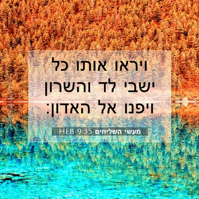 Picture 07 - מעשי השליחים 9:35 HEB - ויראו אותו כל ישבי לד - Bible Verse Picture