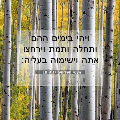Picture 07 - מעשי השליחים 9:37 HEB - ויהי בימים ההם ותחלה ותמת - Bible Verse Picture