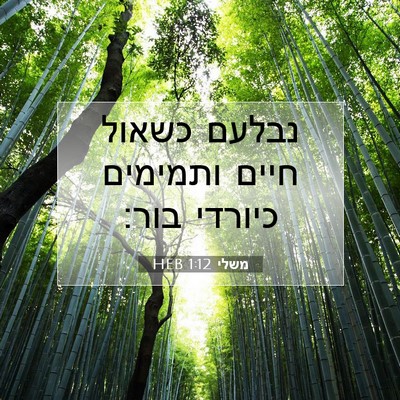 Picture 07 - משלי 1:12 HEB - נבלעם כשאול חיים ותמימים - Bible Verse Picture