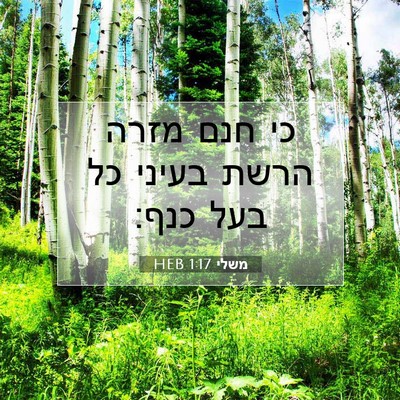 Picture 07 - משלי 1:17 HEB - כי חנם מזרה הרשת בעיני כל - Bible Verse Picture