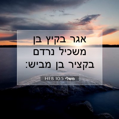 Picture 07 - משלי 10:5 HEB - אגר בקיץ בן משכיל נרדם - Bible Verse Picture