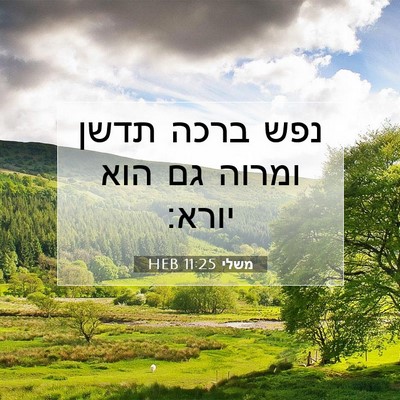 Picture 07 - משלי 11:25 HEB - נפש ברכה תדשן ומרוה גם הוא - Bible Verse Picture