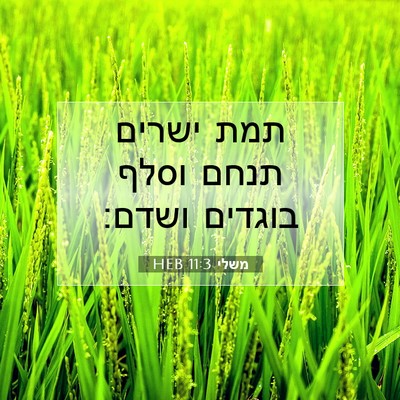 Picture 07 - משלי 11:3 HEB - תמת ישרים תנחם וסלף בוגדים - Bible Verse Picture