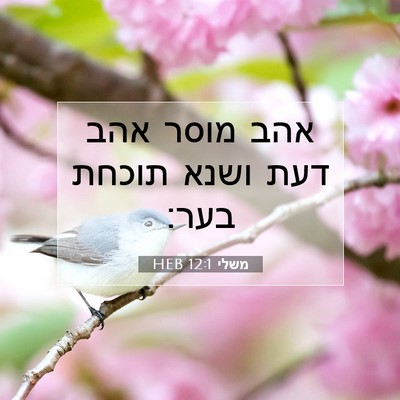 Picture 07 - משלי 12:1 HEB - אהב מוסר אהב דעת ושנא תוכחת - Bible Verse Picture
