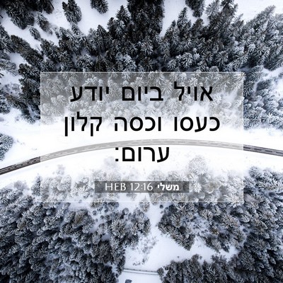 Picture 07 - משלי 12:16 HEB - אויל ביום יודע כעסו וכסה - Bible Verse Picture