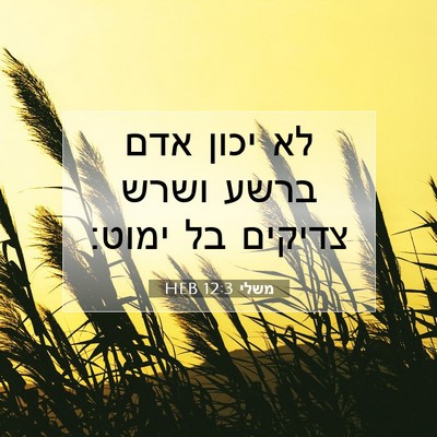 Picture 07 - משלי 12:3 HEB - לא יכון אדם ברשע ושרש - Bible Verse Picture