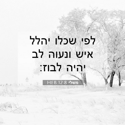 Picture 07 - משלי 12:8 HEB - לפי שכלו יהלל איש ונעוה לב - Bible Verse Picture
