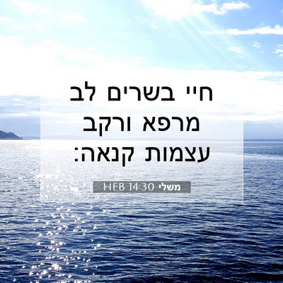 Picture 07 - משלי 14:30 HEB - חיי בשרים לב מרפא ורקב - Bible Verse Picture