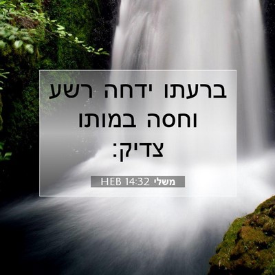 Picture 07 - משלי 14:32 HEB - ברעתו ידחה רשע וחסה במותו - Bible Verse Picture