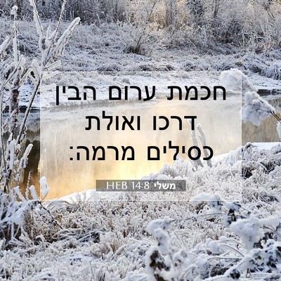 Picture 07 - משלי 14:8 HEB - חכמת ערום הבין דרכו ואולת - Bible Verse Picture