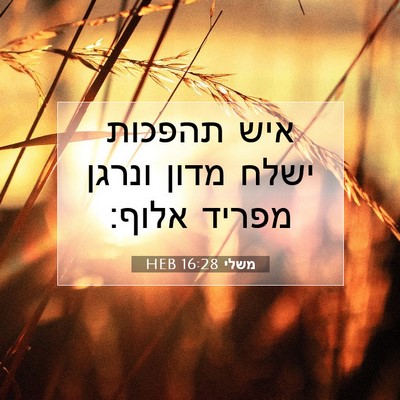Picture 07 - משלי 16:28 HEB - איש תהפכות ישלח מדון ונרגן - Bible Verse Picture