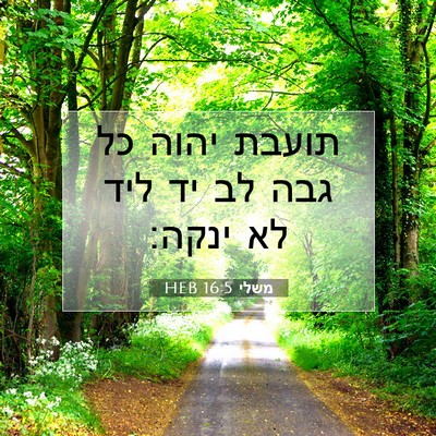 Picture 07 - משלי 16:5 HEB - תועבת יהוה כל גבה לב יד ליד - Bible Verse Picture