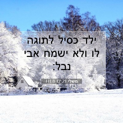 Picture 07 - משלי 17:21 HEB - ילד כסיל לתוגה לו ולא ישמח - Bible Verse Picture