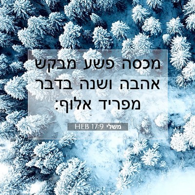 Picture 07 - משלי 17:9 HEB - מכסה פשע מבקש אהבה ושנה - Bible Verse Picture