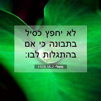Picture 07 - משלי 18:2 HEB - לא יחפץ כסיל בתבונה כי אם - Bible Verse Picture