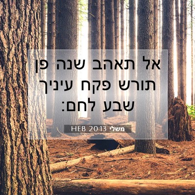 Picture 07 - משלי 20:13 HEB - אל תאהב שנה פן תורש פקח - Bible Verse Picture