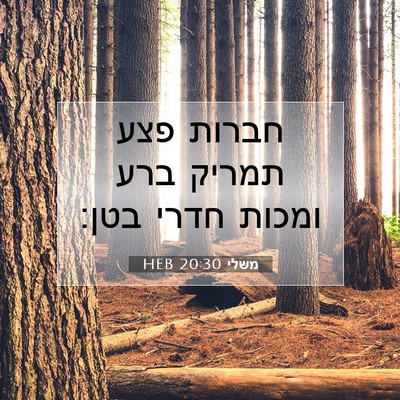 Picture 07 - משלי 20:30 HEB - חברות פצע תמריק ברע ומכות - Bible Verse Picture