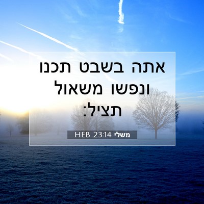 Picture 07 - משלי 23:14 HEB - אתה בשבט תכנו ונפשו משאול - Bible Verse Picture