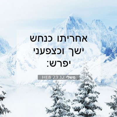 Picture 07 - משלי 23:32 HEB - אחריתו כנחש ישך וכצפעני - Bible Verse Picture