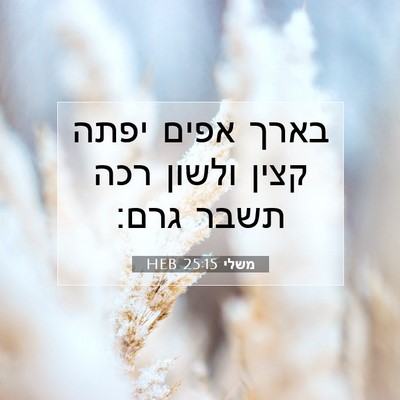 Picture 07 - משלי 25:15 HEB - בארך אפים יפתה קצין ולשון - Bible Verse Picture