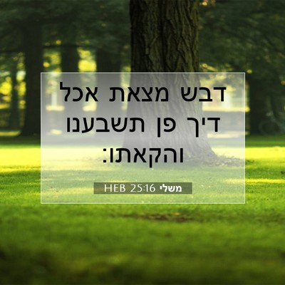 Picture 07 - משלי 25:16 HEB - דבש מצאת אכל דיך פן תשבענו - Bible Verse Picture