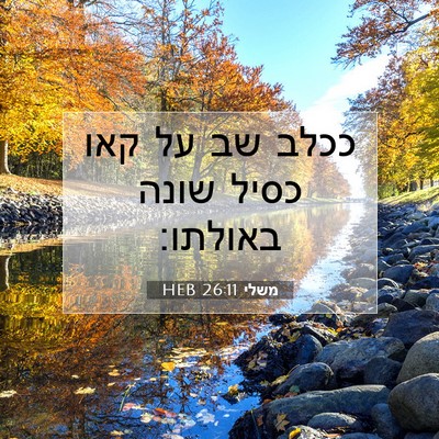 Picture 07 - משלי 26:11 HEB - ככלב שב על קאו כסיל שונה - Bible Verse Picture