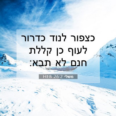 Picture 07 - משלי 26:2 HEB - כצפור לנוד כדרור לעוף כן - Bible Verse Picture