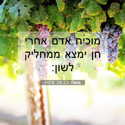 Picture 07 - משלי 28:23 HEB - מוכיח אדם אחרי חן ימצא - Bible Verse Picture