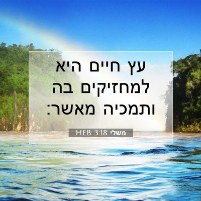 Picture 07 - משלי 3:18 HEB - עץ חיים היא למחזיקים בה - Bible Verse Picture