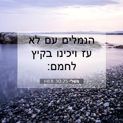 Picture 07 - משלי 30:25 HEB - הנמלים עם לא עז ויכינו בקיץ - Bible Verse Picture