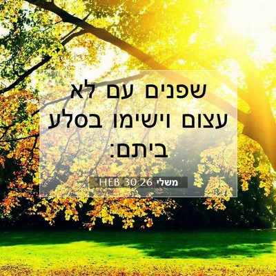Picture 07 - משלי 30:26 HEB - שפנים עם לא עצום וישימו - Bible Verse Picture