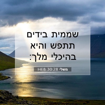 Picture 07 - משלי 30:28 HEB - שממית בידים תתפש והיא - Bible Verse Picture