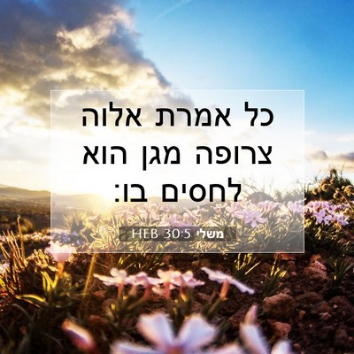 Picture 07 - משלי 30:5 HEB - כל אמרת אלוה צרופה מגן הוא - Bible Verse Picture