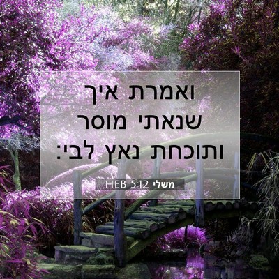 Picture 07 - משלי 5:12 HEB - ואמרת איך שנאתי מוסר - Bible Verse Picture