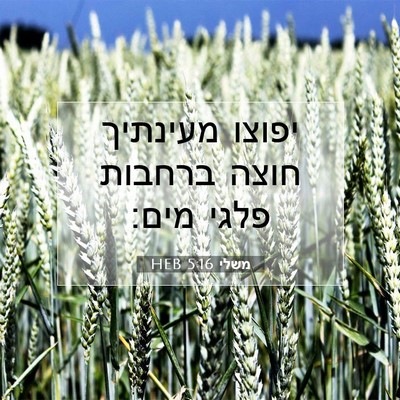 Picture 07 - משלי 5:16 HEB - יפוצו מעינתיך חוצה ברחבות - Bible Verse Picture