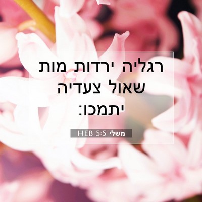 Picture 07 - משלי 5:5 HEB - רגליה ירדות מות שאול צעדיה - Bible Verse Picture